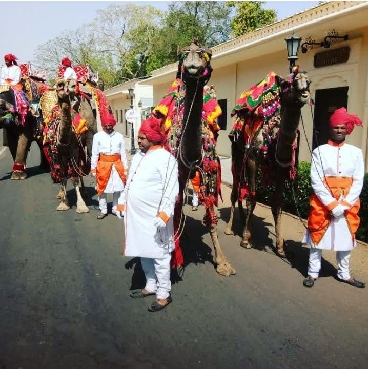 Kachhi Ghodi Mock Sword Battle